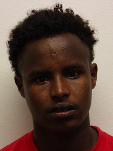 Avatar Bild für Cifani Muuse