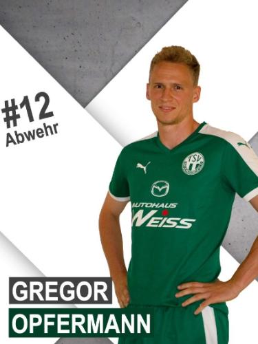 Avatar Bild für Gregor Opfermann