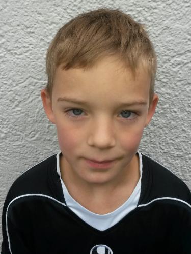 Avatar Bild für Felix Sommer