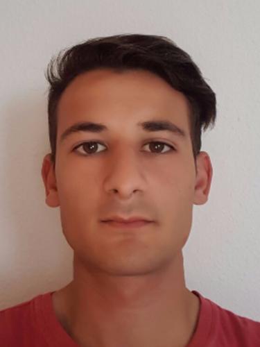 Avatar Bild für Alexandru Birladeanu