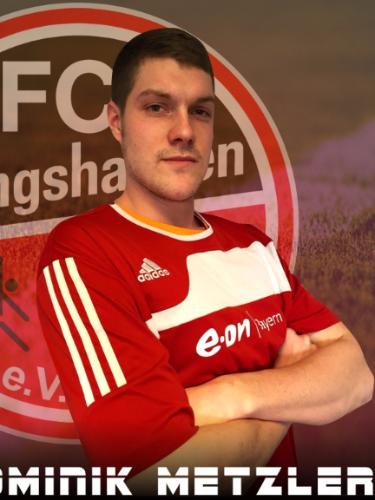 Avatar Bild für Dominik Metzler