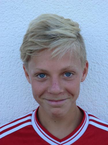 Avatar Bild für Niklas Gamperl