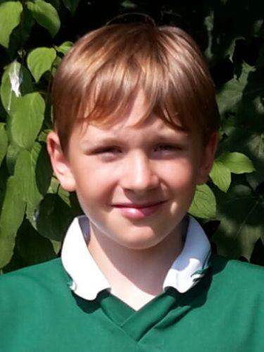 Avatar Bild für Jonas Stadler