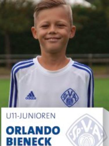 Avatar Bild für Orlando Bieneck