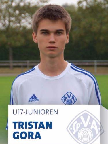 Avatar Bild für Tristan Gora