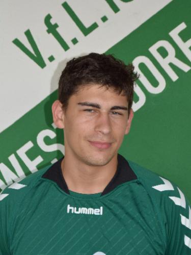 Avatar Bild für Vincenzo Geiger