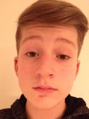 Avatar Bild für Luis Schleicher