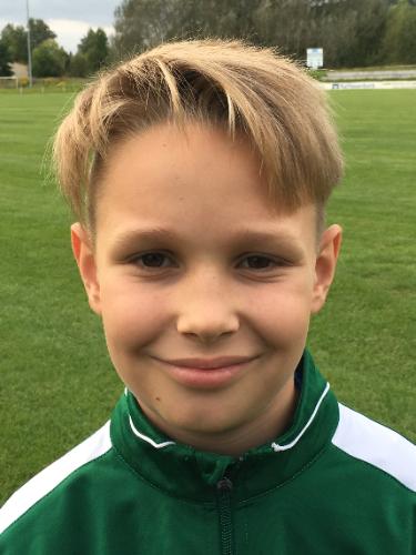 Avatar Bild für Niklas Herrmann