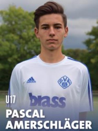 Avatar Bild für Pascal Amerschläger