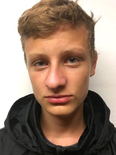 Avatar Bild für Max Begic