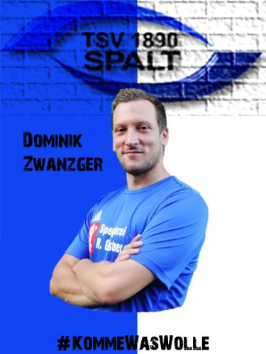 Dominik Zwanzger