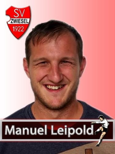 Manuel Leipold
