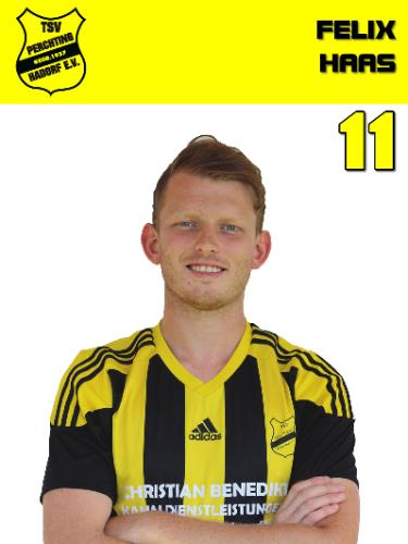 Avatar Bild für Felix Haas