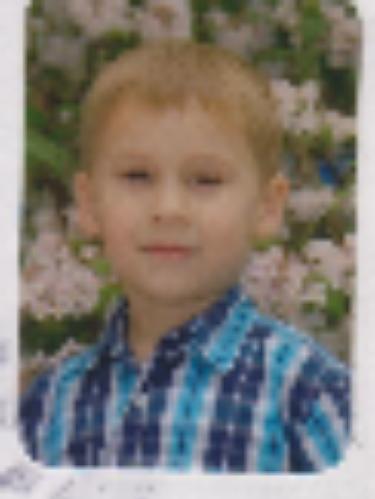 Avatar Bild für Joel Steigerwald