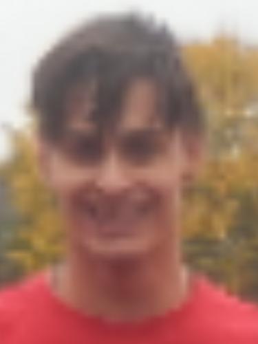 Avatar Bild für Nikola Pavlovic