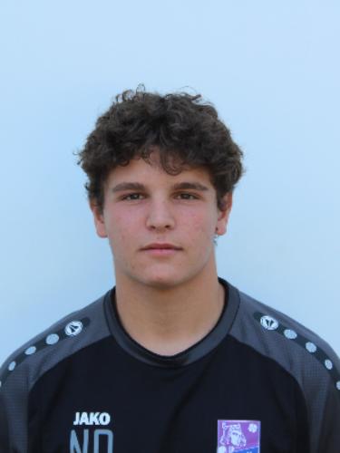 Avatar Bild für Nicolo De Baptistis