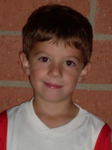 Avatar Bild für Andi Warmuth