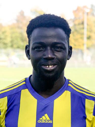 Avatar Bild für Abdou Diaby
