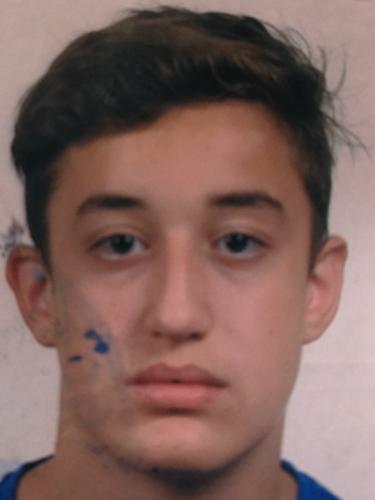 Avatar Bild für Domenico Zito