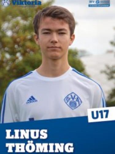 Avatar Bild für Linus Thöming