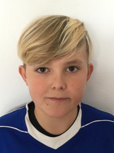 Avatar Bild für Luca Dollinger