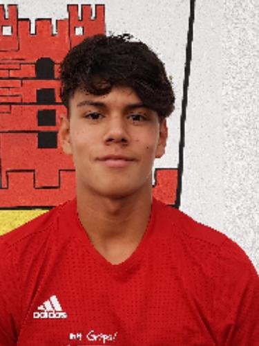 Avatar Bild für Pedro Gomes de Souza