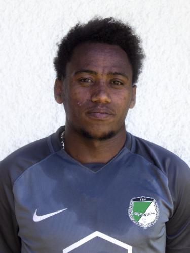 Avatar Bild für Kibrom Gebremeskei