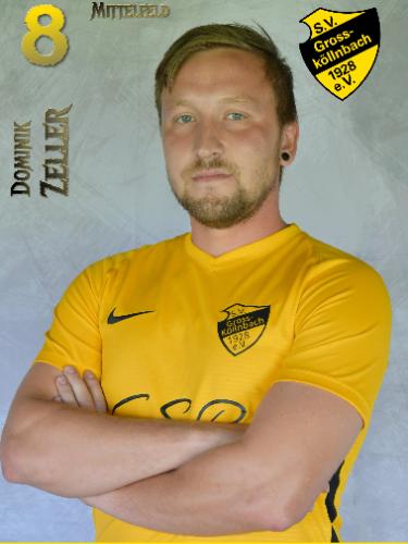 Avatar Bild für Dominik Zeller