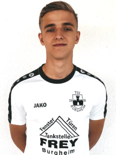 Avatar Bild für Lion Holler