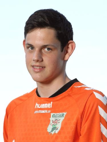 Avatar Bild für Domenico Riedl