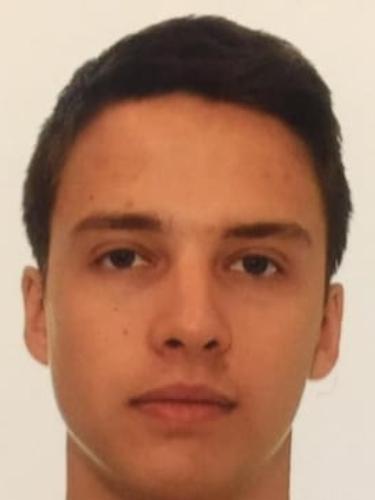 Ferdinand Schulenburg