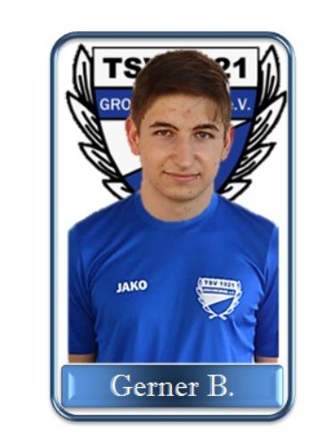 Avatar Bild für Benedikt Gerner