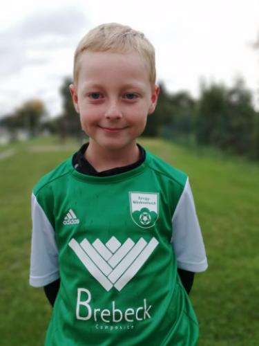 Avatar Bild für Marius Groll