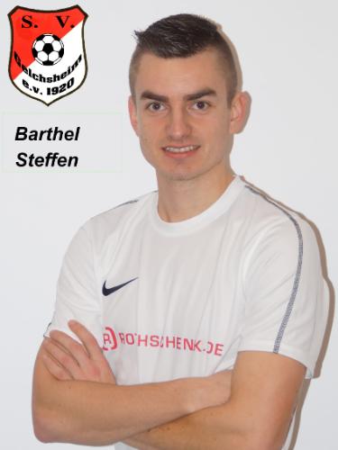 Steffen Barthel