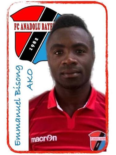 Avatar Bild für Ako Bisong