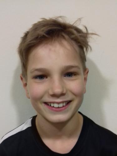 Avatar Bild für David Birngruber