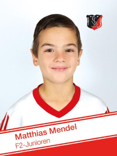 Matthias Mendel