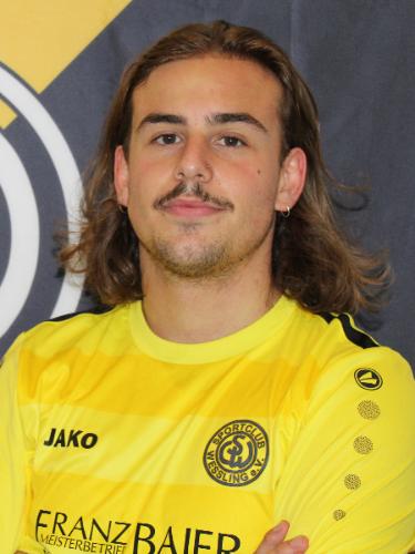 Avatar Bild für Ludwig Wallner