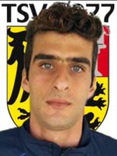 Avatar Bild für Sadegh Gholami Shahvir