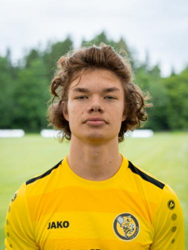 Avatar Bild für David Stipic