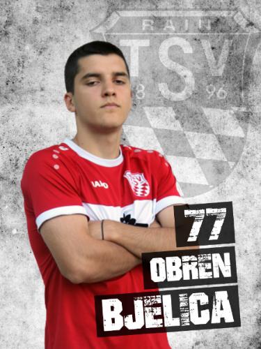 Avatar Bild für Obren Bjelica