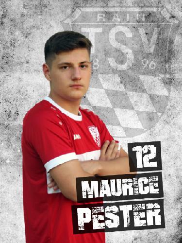 Avatar Bild für Maurice Pester