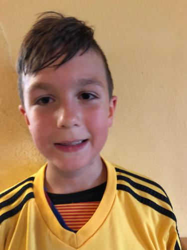 Avatar Bild für Tristan Grübl