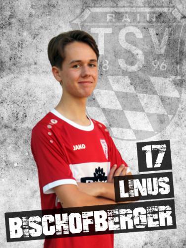 Avatar Bild für Linus Bischofberger