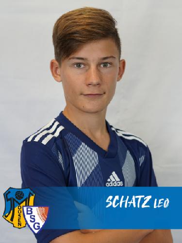 Avatar Bild für Leo Schatz