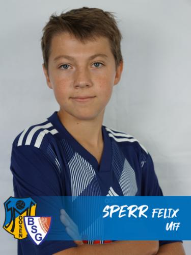 Avatar Bild für Felix Sperr