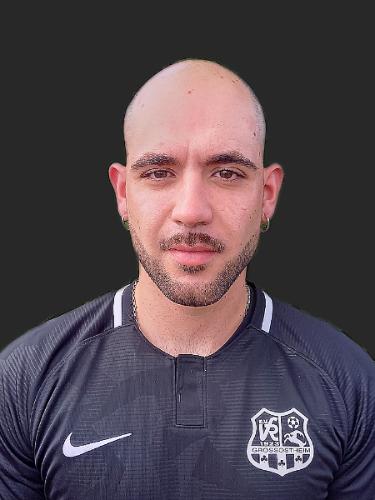 Avatar Bild für Luigi Perrini