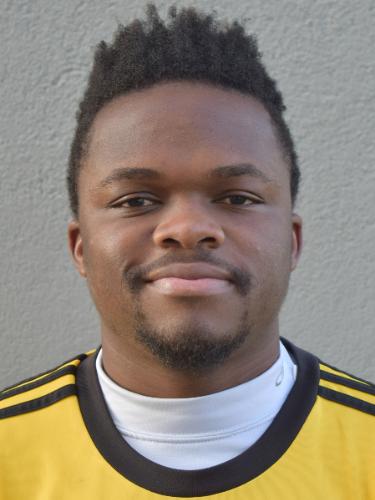 Avatar Bild für Joel Baugnie Gumethe