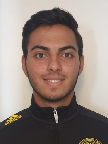 Vladimiros Apostolidis