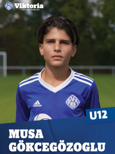 Avatar Bild für Musa Gökcegözoglu